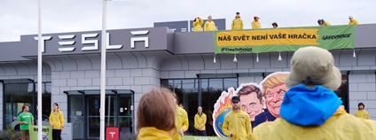 Greenpeace ČR protestuje v pražském sídle firmy Tesla Foto: Marie Sieberová Greenpeace