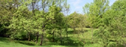 foto: ZO ČSOP Bílé Karpaty foto: ZO ČSOP Bílé Karpaty