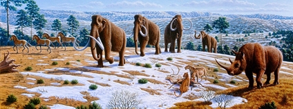 Foto: Mauricio Antón (in Caitlin Sedwick: &quot;What Killed the Woolly Mammoth?&quot;. PLoS Biology 6 (4): e99. 1 April 2008.