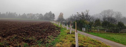 foto: Město Vyškov foto: Město Vyškov