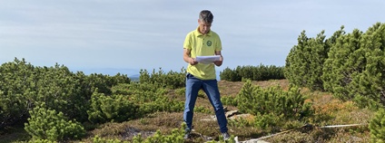 Botanik Správy KRNAP nad monitorovací plochou. Foto: Správa KRNAP