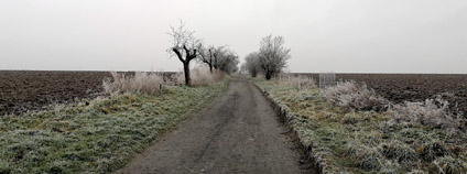 Cesta mezi poli na okraji Prahy. Foto: Zdeňka Kováříková Ekolist.cz