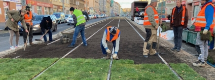 Foto: Výzkumný ústav rostlinné výroby