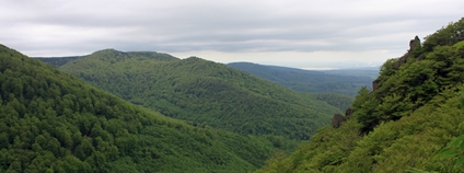 Jizerskohorské bučiny se staly první přírodní památkou ČR na seznamu UNESCO Foto: Jiří Hušek Jizerskohorské bučiny se staly první přírodní památkou ČR na seznamu UNESCO Foto: Jiří Hušek