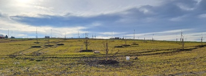 Celkový pohled na novou Kaštanku. Foto: Veronika Čermáková AOPK ČR