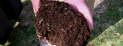Čerstvý kompost Foto: normanack Flickr