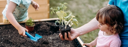Komunitní zahrada Foto:  Anička Guthrie KOKOZA
