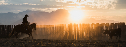 Foto: Morth Photography / Shutterstock Foto: Morth Photography / Shutterstock