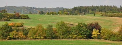 Zemědělská krajina s rozptýlenou dřevinnou vegetací Foto: Výzkumný ústav lesního hospodářství a myslivosti, v. v. i.