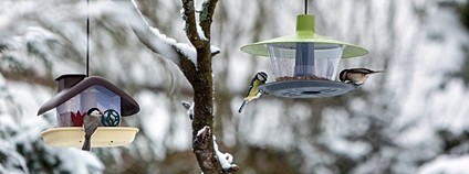Ptáci na krmítkách Foto: Plastia a Česká společnost ornitologická