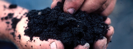 Foto: Natural Resources Conservation Service Soil Health Campaign / Flickr