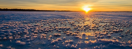 Foto: Jeff Wallace/ Flickr