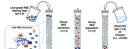 Foto: Dong et al. 2021 / ACS Central Science Foto: Dong et al. 2021 / ACS Central Science