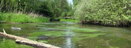 Meandry Ploučnice Foto: Luboš Beran AOPK ČR
