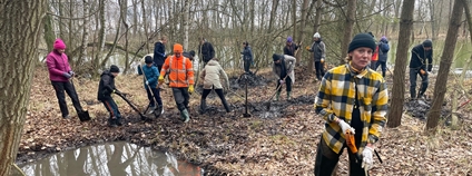 Dobrovolníci v Milčicích vytvořili nové tůně pro obojživelníky Foto: Český svaz ochránců přírody