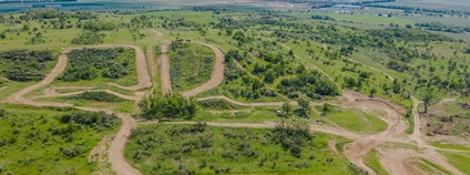 Narušování drnu se coby péče již několik let úspěšně praktikuje v přírodní památce Načeratický kopec u Znojma. Foto: Beleco
