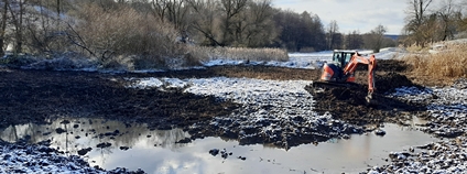 Bagrování tůně nad Hájkovským rybníkem. Foto: Pozemkový spolek Mokřady ČSOP