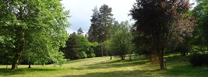 Arboretum Nový Dvůr Foto: Palickap Wikimedia Commons