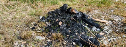 Nelegální ohniště v NP Šumava Foto: NP Šumava
