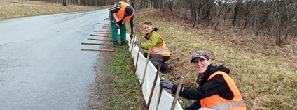 Dobrovolníci a spolky na Šumavě pomáhají zachraňovat obojživelníky Foto: Spolky Šumava domovem a ZO ČSOP Šumava