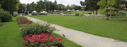 Rozárium Olomouc Foto: ZSsen Wikimedia Commons