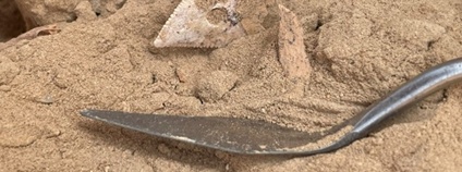 Nálezy žraločích zubů Foto: Archeologický ústav AV ČR