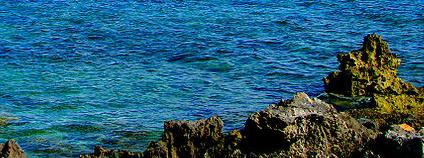 Araujo označuje středomořskou faunu a flóru za nejzranitelnější. Foto: Rennett Stowe / flickr.com