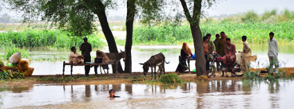 foto: Asianet-Pakistan / Shutterstock.com foto: Asianet-Pakistan / Shutterstock.com