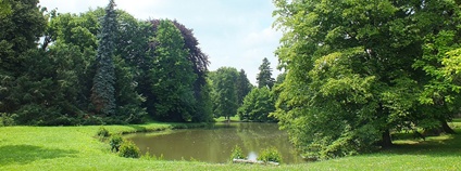 Zámecký park v Čechách pod Kosířem Foto: Jan Kameníček Wikimedia Commons
