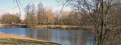 Jezero Čičák v parku Na Špici v Pardubicích Foto: Michal Louč Wikimedia Commons