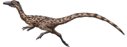 Podokesaurus holyokensis Foto: FunkMonk (Michael B. H.) Wikimeda Commons