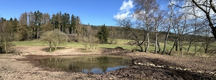 Obnovené koryto pravostranného přítoku Vižňovského potoka Foto: Lesy ČR