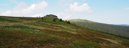 Praděd, Petrovy kameny Foto: Botanický ústav AV ČR