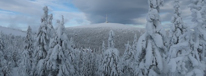 Praděd Foto: Miroslav Havira AOPK ČR