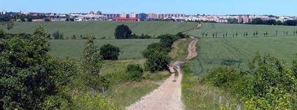 Pole u Dolních Počernic v Praze Foto: Packa Wikimedia Commons Pole u Dolních Počernic v Praze Foto: Packa Wikimedia Commons