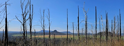 Správy národních parků v Českosaském Švýcarsku otevřely novou přeshraniční trasu Foto: MŽP ČR