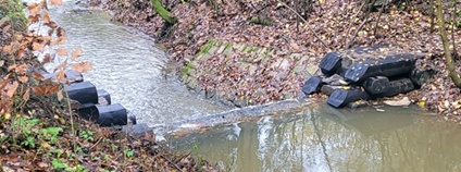 Protipovodňové přehrážky v Bohdašínském potoce na Náchodsku Foto: Lesy ČR
