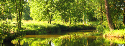 Léta na březích Foto: Kletr Shutterstock