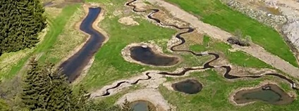Mikulečský potok meandruje krajinou Foto: Lesy ČR