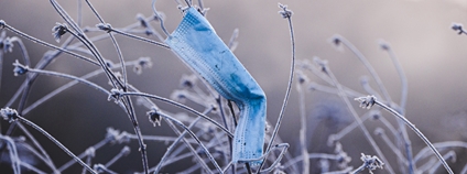 Rouška v zimní přírodě Foto: Pierre Borthiry Unsplash