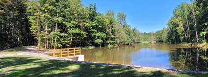 Foto: Rybník po rekonstrukci. Lesy ČR