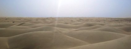 Saharská poušť. Foto: Wikipedia Common