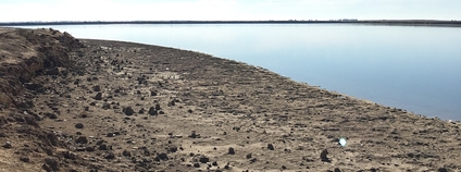 Jezero Sáva v jižním Iráku Foto: aziz1005 Wikimeda Commons