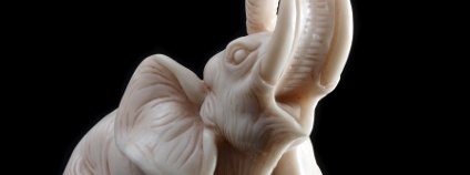 foto: Arve Bettum / Shutterstock foto: Arve Bettum / Shutterstock