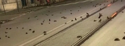 Mrtví ptáci po silvestrovské noci v Římě Foto: Buzz News / youtube.com Mrtví ptáci po silvestrovské noci v Římě Foto: Buzz News / youtube.com