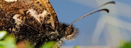 foto: Matt Hill University of Huddersfield foto: Matt Hill University of Huddersfield