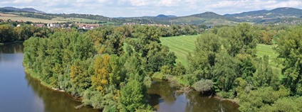 Přírodní rezervace Píšťanský luh v CHKO České středohoří Foto: Jiří Bělohoubek AOPK ČR