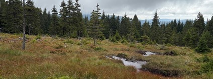 Soví sedlo. Foto: David Krause Správa KRNAP