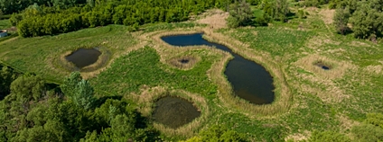 Cena za krajinu 2025 - Projekt mokřadu v Brodu nad Dyjí Foto: Státní pozemkový úřad ČR