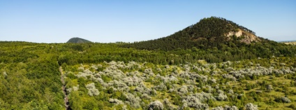 Střimická výsypka Foto: Ludmila Korešová Česká společnost ornitologická